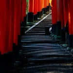 Логические системы и математические механики слота Gates of Olympus