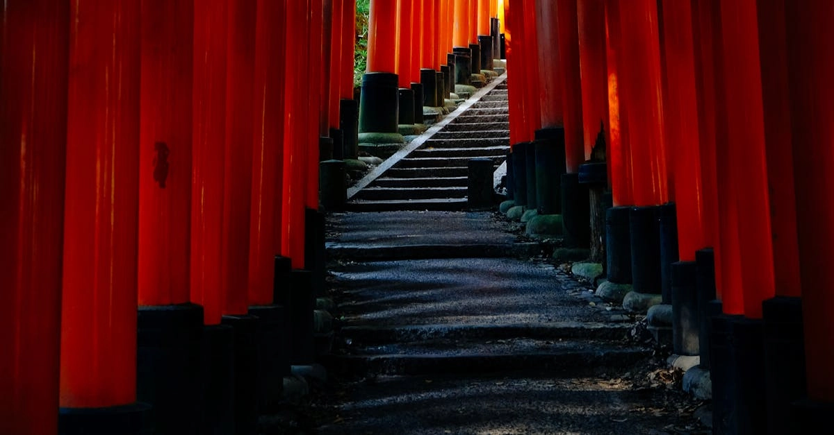 Логические системы и математические механики слота Gates of Olympus