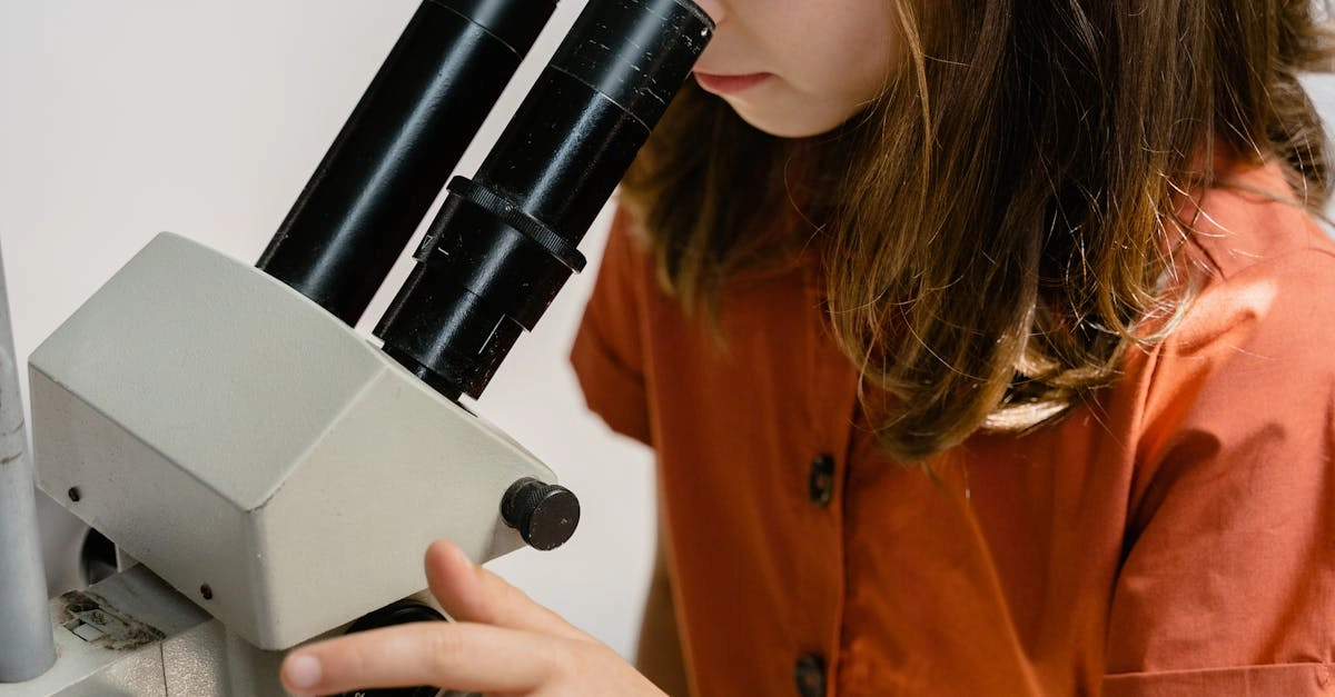 Логический анализ бездепозитных бонусов в онлайн-казино